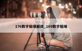 176 数字磁场解读_169 数字磁场