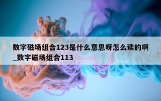 数字磁场组合 123 是什么意思呀怎么读的啊_数字磁场组合 113