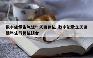 数字能量生气延年天医伏位_数字能量之天医延年生气伏位组合