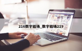 216数字磁场_数字磁场219