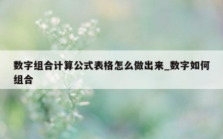 数字组合计算公式表格怎么做出来_数字如何组合