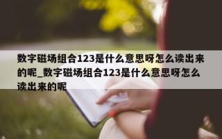 数字磁场组合 123 是什么意思呀怎么读出来的呢_数字磁场组合 123 是什么意思呀怎么读出来的呢