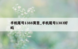 手机尾号 1388 寓意_手机尾号 1383 好吗