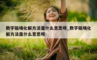 数字磁场化解方法是什么意思呀_数字磁场化解方法是什么意思呀