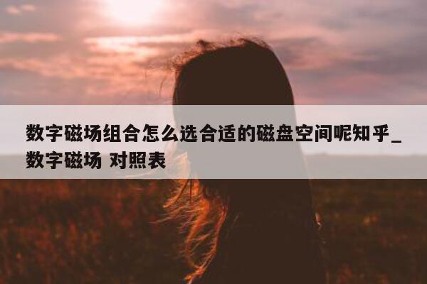 数字磁场组合怎么选合适的磁盘空间呢知乎_数字磁场 对照表 - 第 1 张图片 - 新易生活风水网