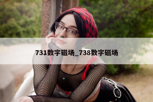 731 数字磁场_738 数字磁场 - 第 1 张图片 - 新易生活风水网