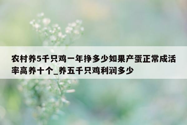 农村养 5 千只鸡一年挣多少如果产蛋正常成活率高养十个_养五千只鸡利润多少 - 第 1 张图片 - 新易生活风水网