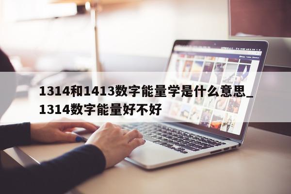 1314 和 1413 数字能量学是什么意思_1314 数字能量好不好 - 第 1 张图片 - 新易生活风水网