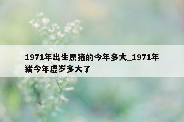 1971 年出生属猪的今年多大_1971 年猪今年虚岁多大了 - 第 1 张图片 - 新易生活风水网