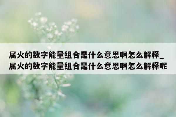 属火的数字能量组合是什么意思啊怎么解释_属火的数字能量组合是什么意思啊怎么解释呢 - 第 1 张图片 - 新易生活风水网