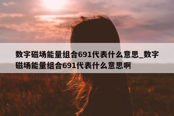 数字磁场能量组合 691 代表什么意思_数字磁场能量组合 691 代表什么意思啊 - 第 1 张图片 - 新易生活风水网