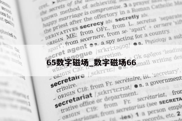 65 数字磁场_数字磁场 66- 第 1 张图片 - 新易生活风水网