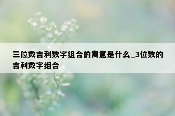 三位数吉利数字组合的寓意是什么_3 位数的吉利数字组合 - 第 1 张图片 - 新易生活风水网