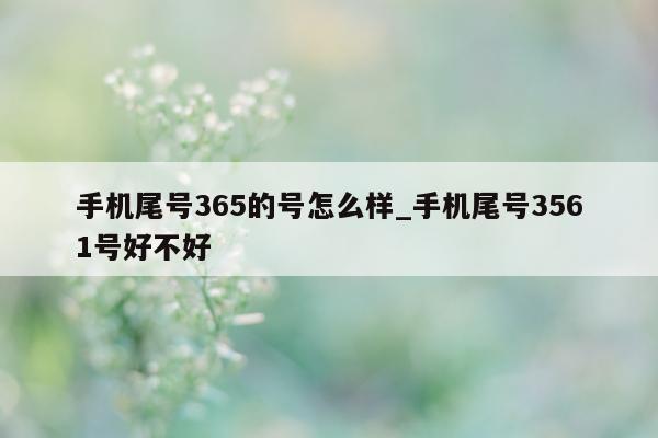 手机尾号 365 的号怎么样_手机尾号 3561 号好不好 - 第 1 张图片 - 新易生活风水网