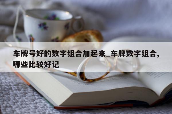 车牌号好的数字组合加起来_车牌数字组合, 哪些比较好记 - 第 1 张图片 - 新易生活风水网