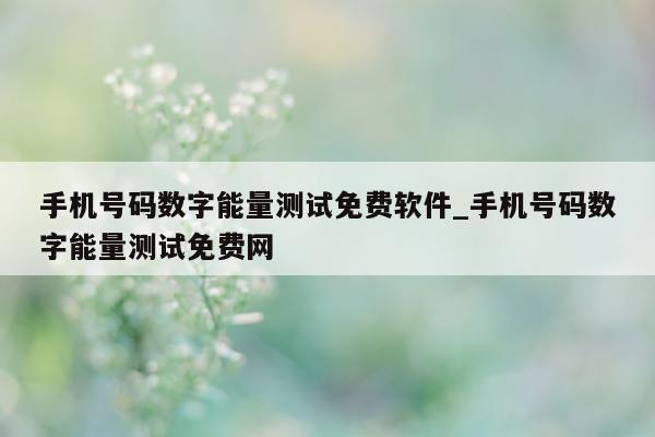 手机号码数字能量测试免费软件_手机号码数字能量测试免费网 - 第 1 张图片 - 新易生活风水网