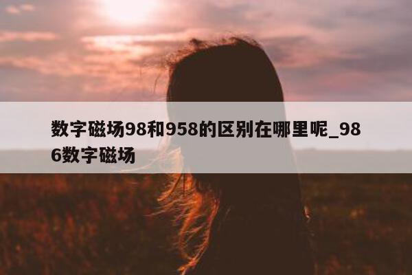 数字磁场 98 和 958 的区别在哪里呢_986 数字磁场 - 第 1 张图片 - 新易生活风水网