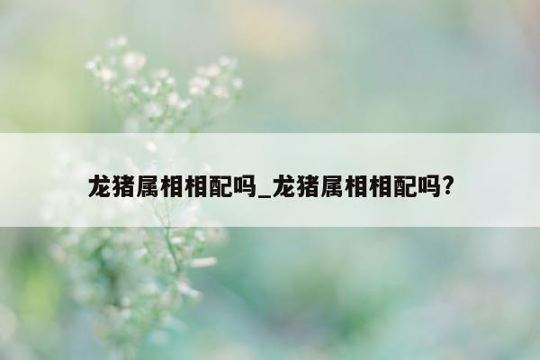 龙猪属相相配吗_龙猪属相相配吗?- 第 1 张图片 - 新易生活风水网