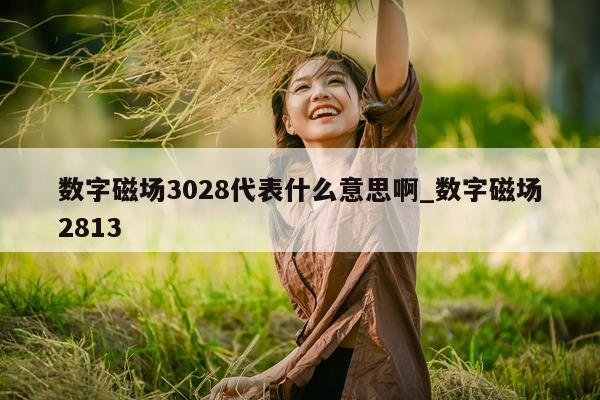 数字磁场 3028 代表什么意思啊_数字磁场 2813- 第 1 张图片 - 新易生活风水网