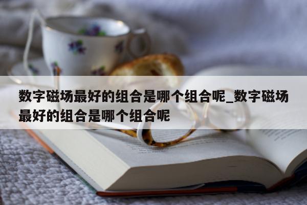 数字磁场最好的组合是哪个组合呢_数字磁场最好的组合是哪个组合呢 - 第 1 张图片 - 新易生活风水网