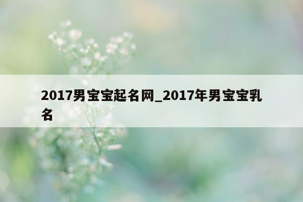 2017 男宝宝起名网_2017 年男宝宝乳名 - 第 1 张图片 - 新易生活风水网