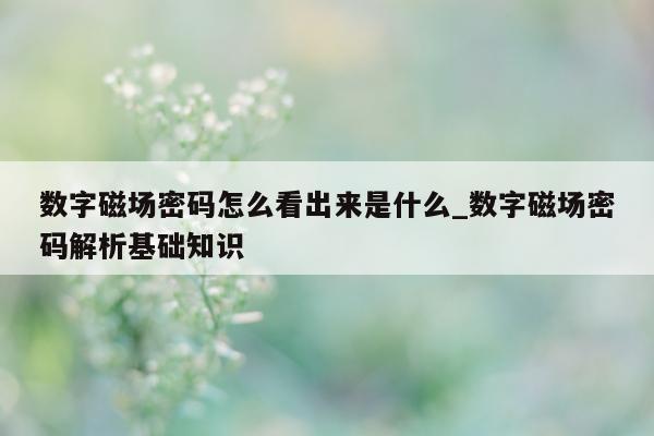 数字磁场密码怎么看出来是什么_数字磁场密码解析基础知识 - 第 1 张图片 - 新易生活风水网