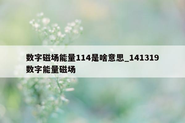 数字磁场能量 114 是啥意思_141319 数字能量磁场 - 第 1 张图片 - 新易生活风水网