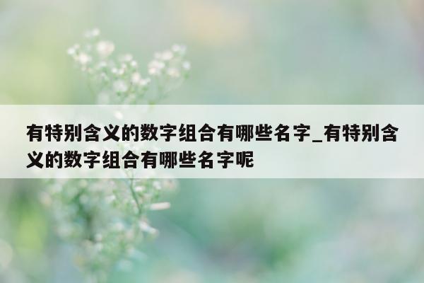 有特别含义的数字组合有哪些名字_有特别含义的数字组合有哪些名字呢 - 第 1 张图片 - 新易生活风水网