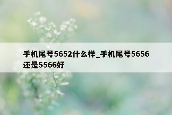 手机尾号 5652 什么样_手机尾号 5656 还是 5566 好 - 第 1 张图片 - 新易生活风水网