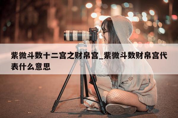 紫微斗数十二宫之财帛宫_紫微斗数财帛宫代表什么意思 - 第 1 张图片 - 新易生活风水网