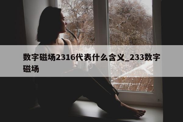 数字磁场 2316 代表什么含义_233 数字磁场 - 第 1 张图片 - 新易生活风水网