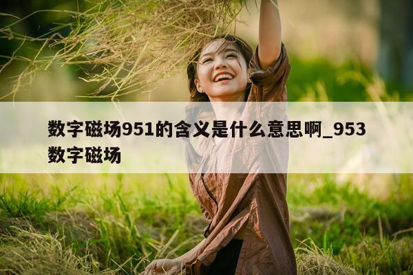 数字磁场 951 的含义是什么意思啊_953 数字磁场 - 第 1 张图片 - 新易生活风水网