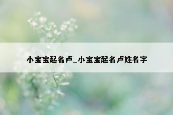 小宝宝起名卢_小宝宝起名卢姓名字 - 第 1 张图片 - 新易生活风水网