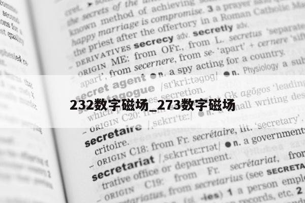 232 数字磁场_273 数字磁场 - 第 1 张图片 - 新易生活风水网