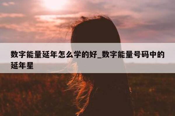 数字能量延年怎么学的好_数字能量号码中的延年星 - 第 1 张图片 - 新易生活风水网