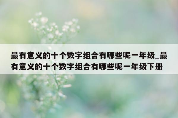 最有意义的十个数字组合有哪些呢一年级_最有意义的十个数字组合有哪些呢一年级下册 - 第 1 张图片 - 新易生活风水网