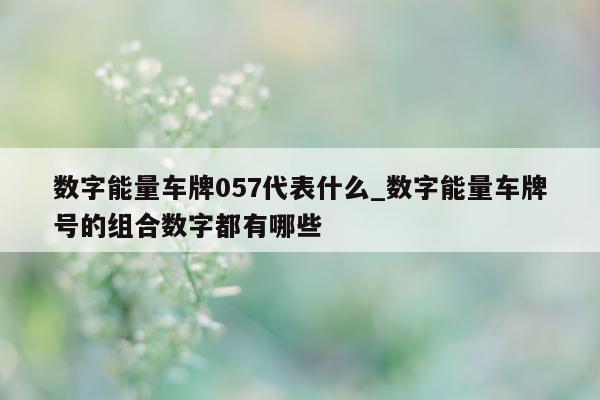 数字能量车牌 057 代表什么_数字能量车牌号的组合数字都有哪些 - 第 1 张图片 - 新易生活风水网