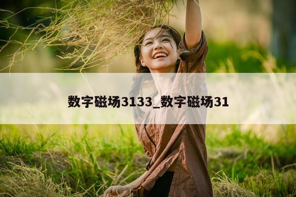 数字磁场 3133_数字磁场 31- 第 1 张图片 - 新易生活风水网