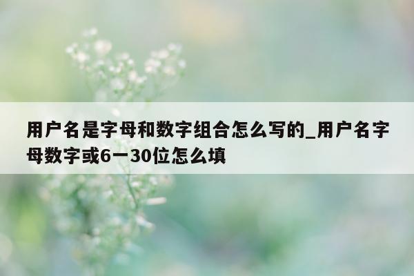 用户名是字母和数字组合怎么写的_用户名字母数字或 6 一 30 位怎么填 - 第 1 张图片 - 新易生活风水网