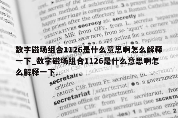 数字磁场组合 1126 是什么意思啊怎么解释一下_数字磁场组合 1126 是什么意思啊怎么解释一下 - 第 1 张图片 - 新易生活风水网