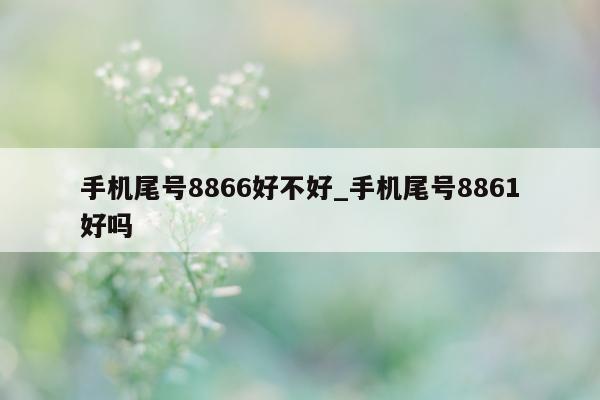 手机尾号 8866 好不好_手机尾号 8861 好吗 - 第 1 张图片 - 新易生活风水网