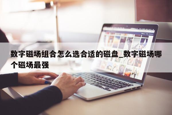 数字磁场组合怎么选合适的磁盘_数字磁场哪个磁场最强 - 第 1 张图片 - 新易生活风水网