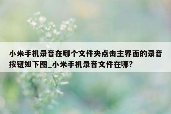 小米手机录音在哪个文件夹点击主界面的录音按钮如下图_小米手机录音文件在哪?- 第 1 张图片 - 新易生活风水网