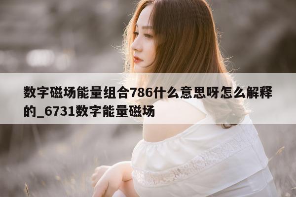 数字磁场能量组合 786 什么意思呀怎么解释的_6731 数字能量磁场 - 第 1 张图片 - 新易生活风水网