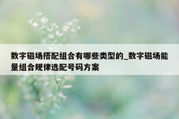 数字磁场搭配组合有哪些类型的_数字磁场能量组合规律选配号码方案 - 第 1 张图片 - 新易生活风水网