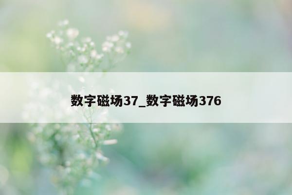 数字磁场 37_数字磁场 376- 第 1 张图片 - 新易生活风水网